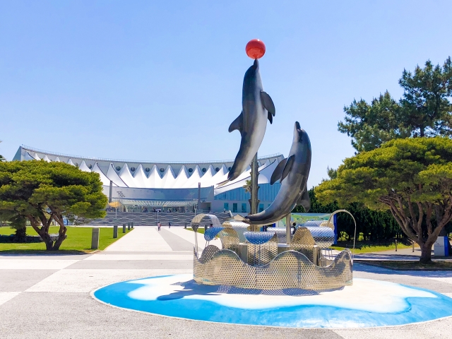 今だけ限定価格 水族館 福岡県 マリンワールド 海の中道 茶平工業 メダル ラッコ 親子 赤 bn-sports.co.jp